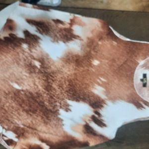 Women's xl & XXL shirts